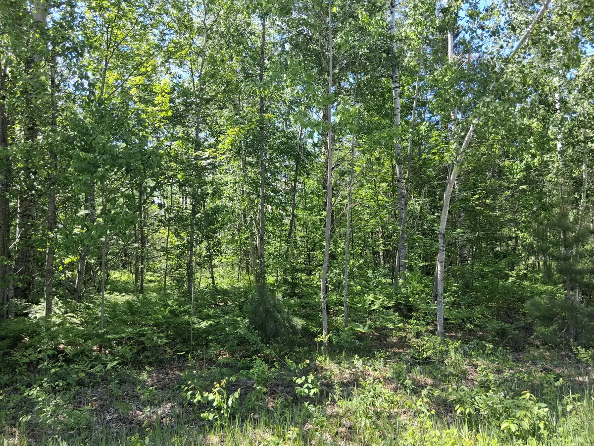 Pineview Drive, Mancelona, MI 49659 - #1