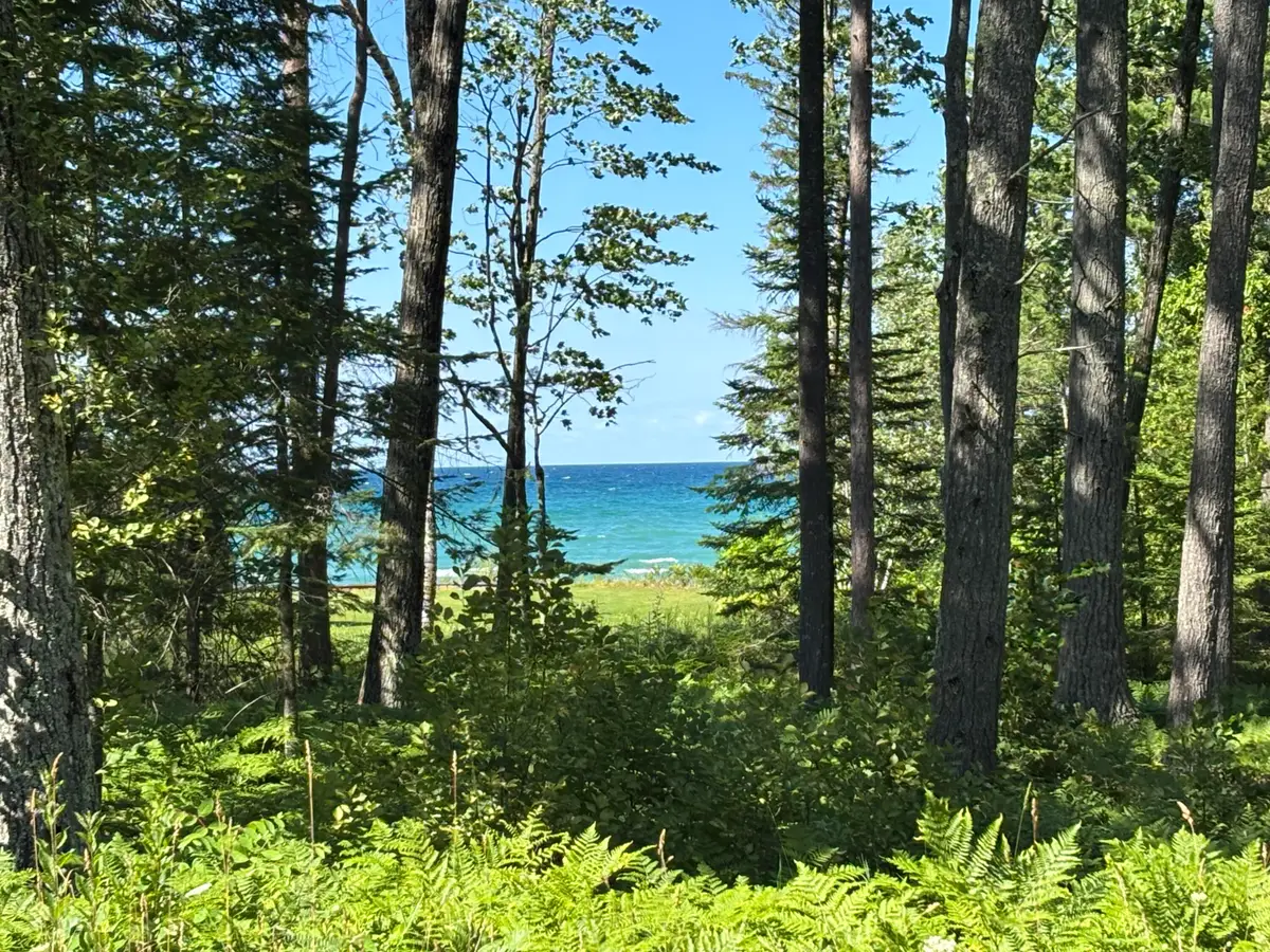Parcel C Evergreen Highway, Rogers City, MI 49779 - #1