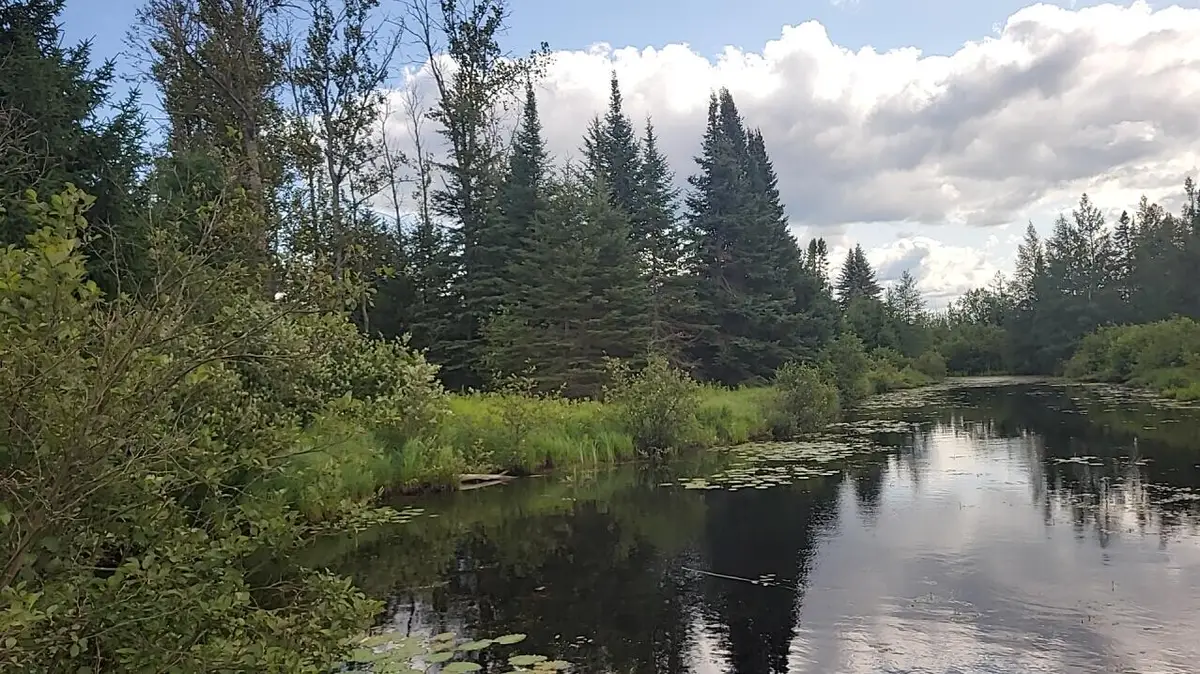 Juniper Way, Grayling, MI 49738 - #1