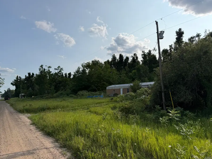 17980 Hayes Road, Hillman, MI 49746 - #3