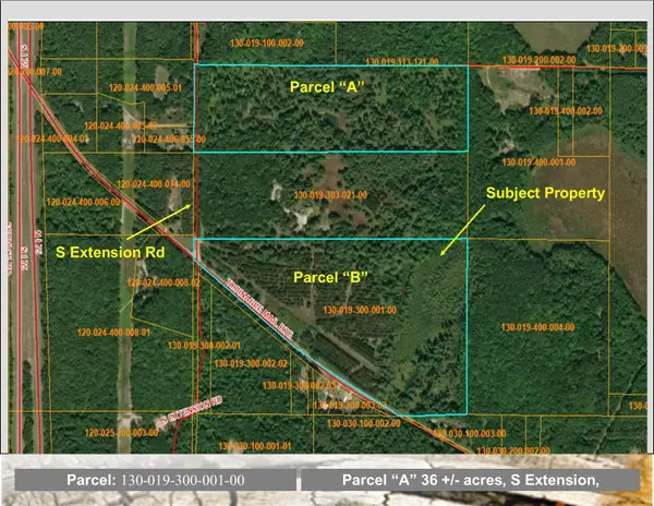 51+/-Acres Topinabee Mail Rte/s Extension Road, Topinabee, MI 49791