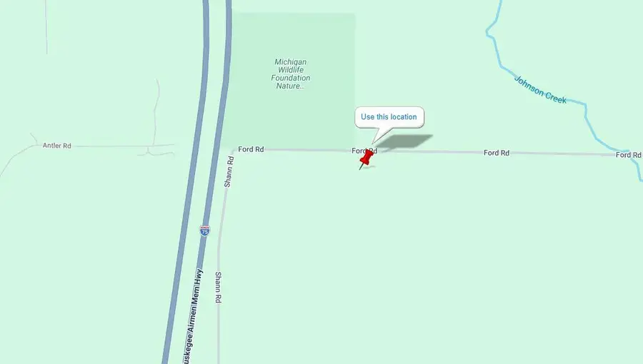 Ford Road, Wolverine, MI 49799 - #2