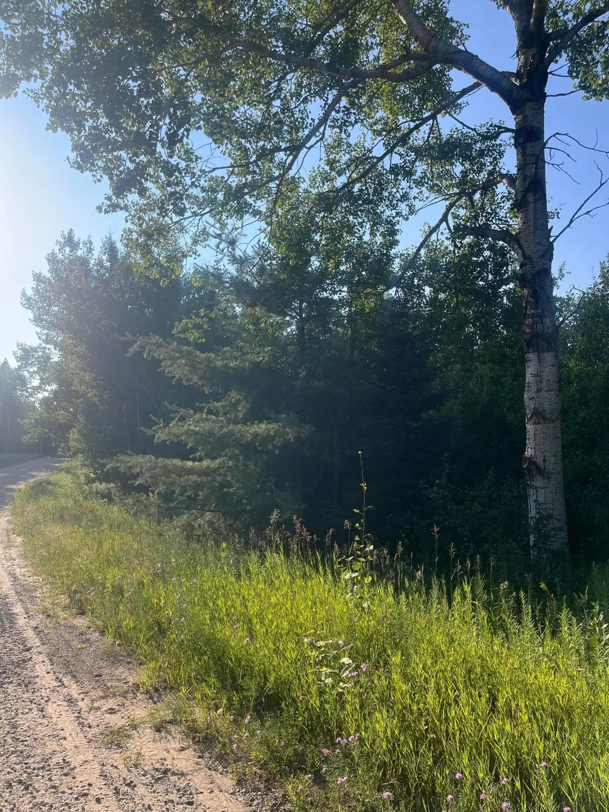 Lot 28 Valleyway Drive, Elmira, MI 49730 - #1