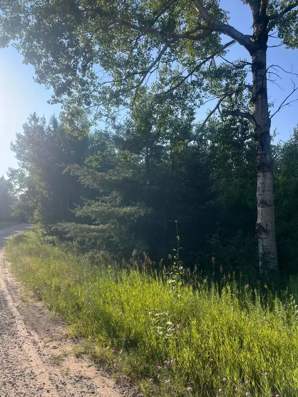Lot 28 Valleyway Drive, Elmira, MI 49730