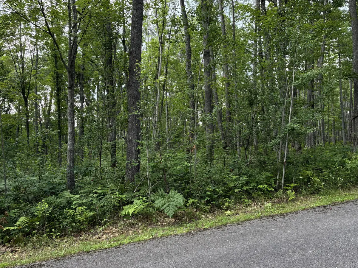522 Red Pine Court, Lewiston, MI 49756 - #1