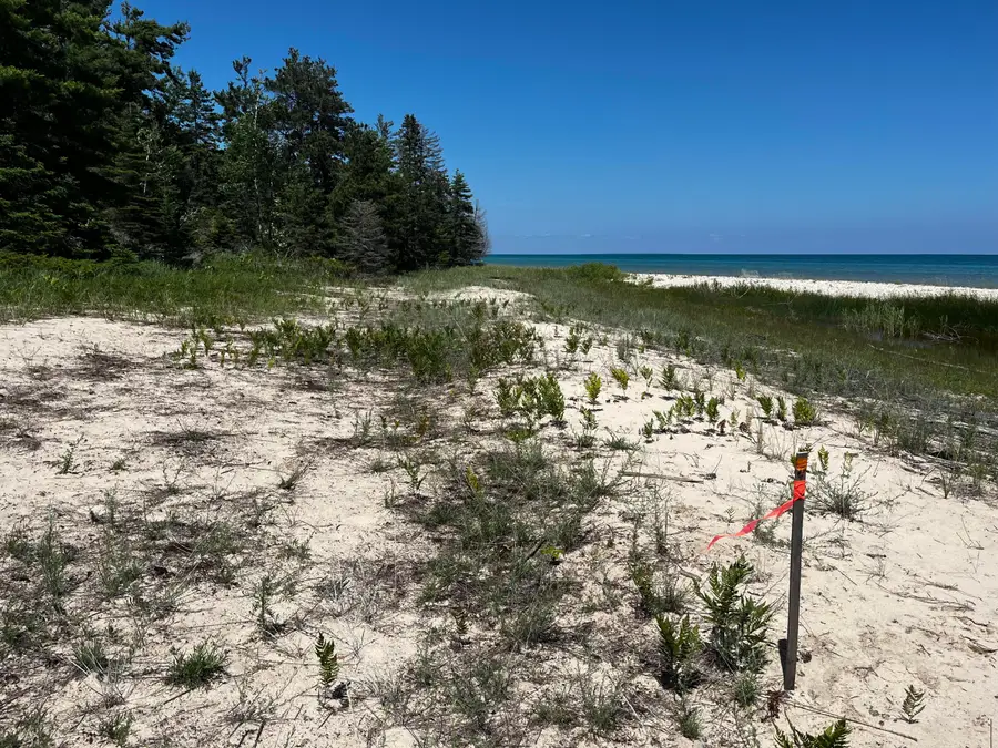 V/L East Side Drive, Beaver Island, MI 49782 - #3