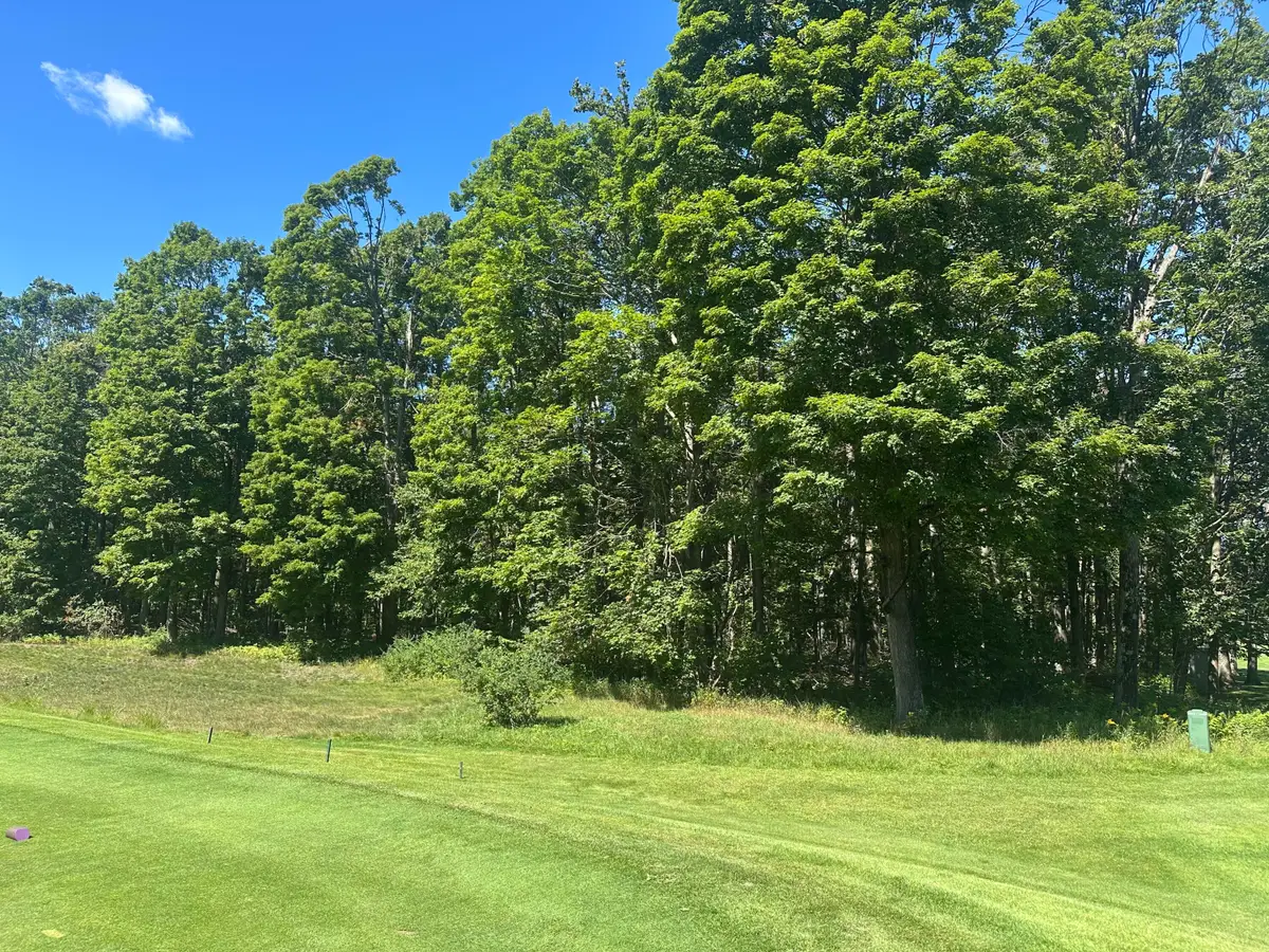 863 Aronimink Drive, Harbor Springs, MI 49740 - #1