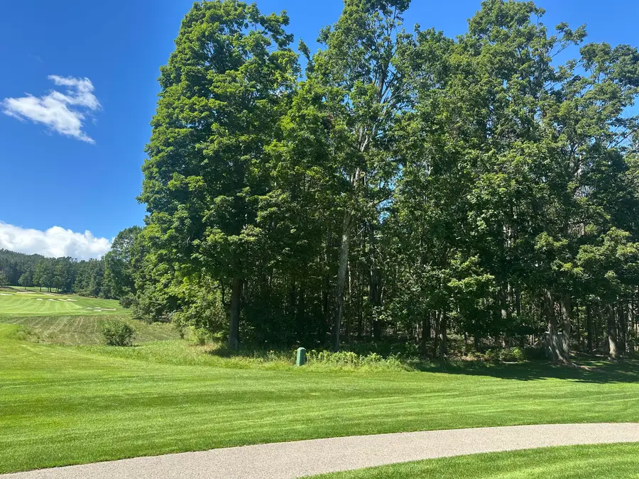 863 Aronimink Drive, Harbor Springs, MI 49740 - #3