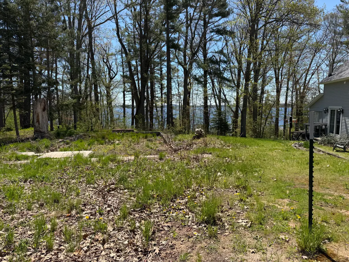 5115 Pruyn Street, Topinabee, MI 49791 - #1