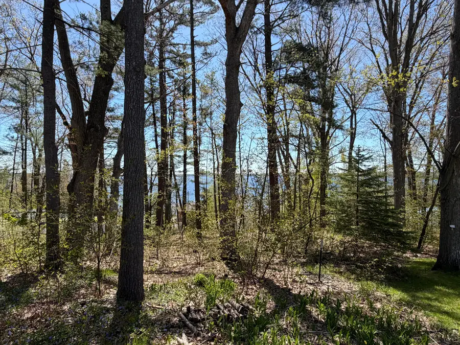 5115 Pruyn Street, Topinabee, MI 49791 - #3