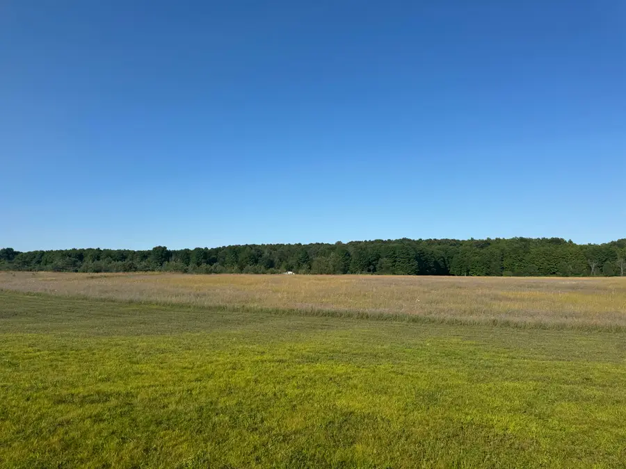 6722 Canby Road, Levering, MI 49755 - #2