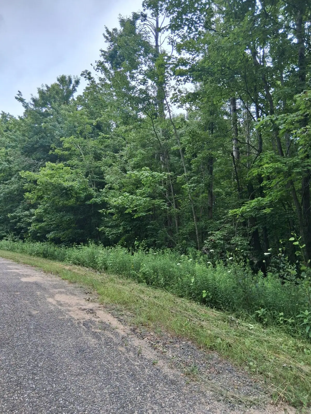 Norway Drive, Elmira, MI 49730 - #1