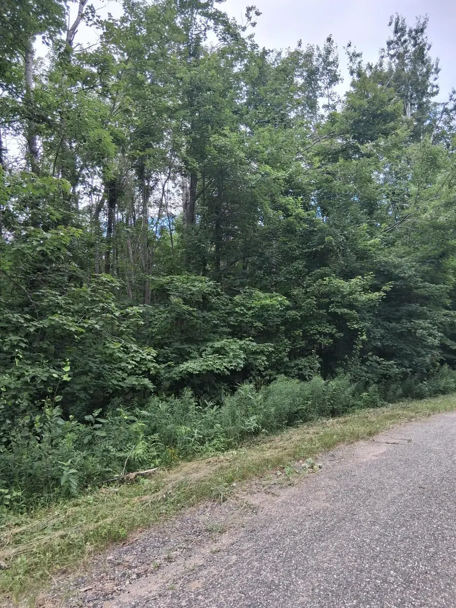 Norway Drive, Elmira, MI 49730 - #3