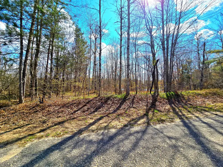252 Sunridge Drive, Elmira, MI 49730 - #3