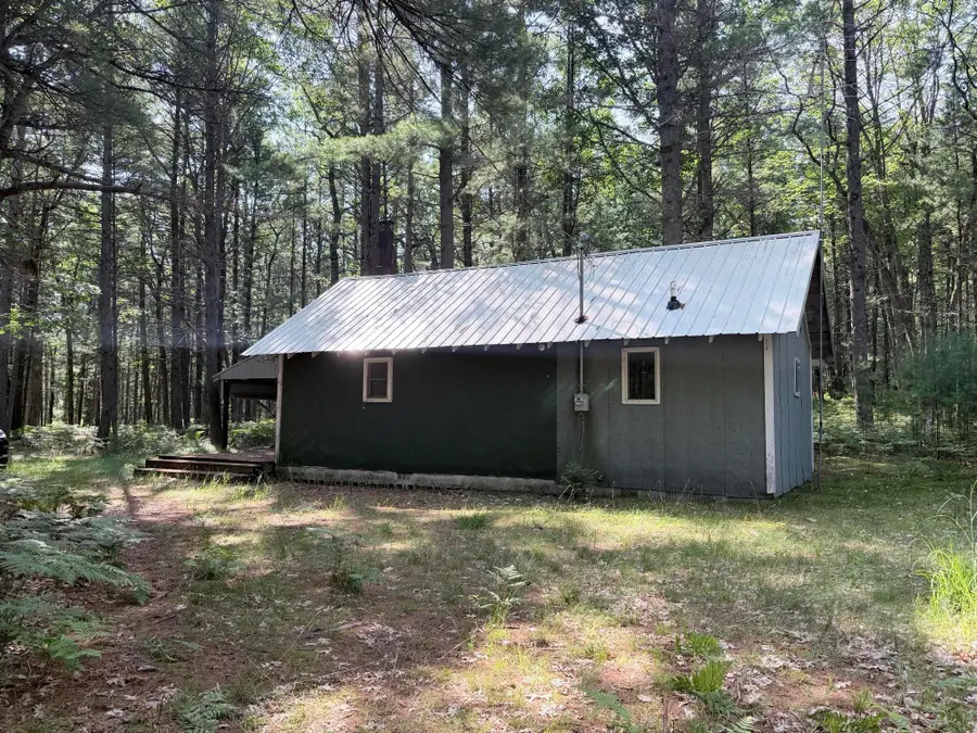10870 Thoman Trail, Roscommon, MI 48653 - #3