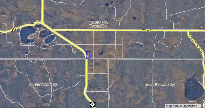 28348 W County Line Road, Trout Lake, MI 49793 - #2