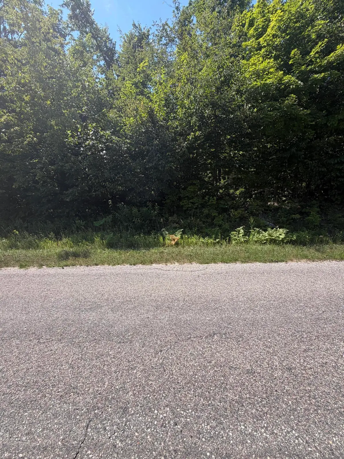 9632 Mount Frederick Road, Gaylord, MI 49735 - #1