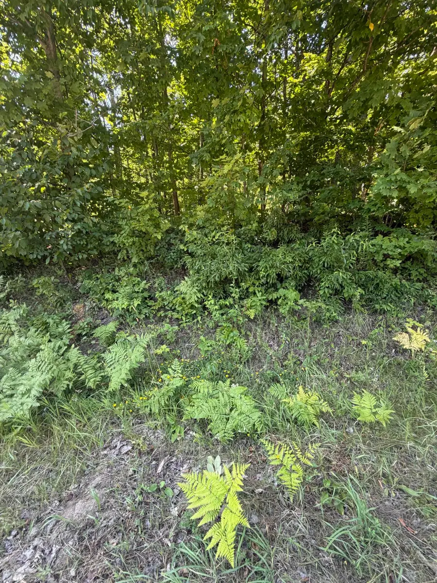 9632 Mount Frederick Road, Gaylord, MI 49735 - #3