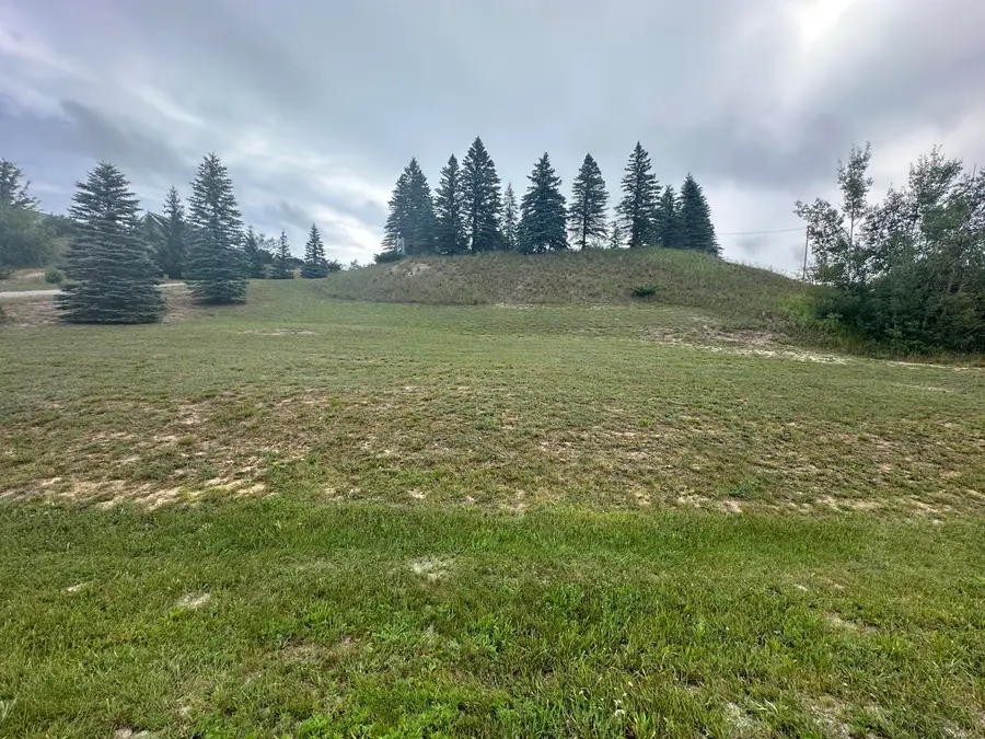 0.63 AC Lakeway Drive, Wolverine, MI 49799 - #3