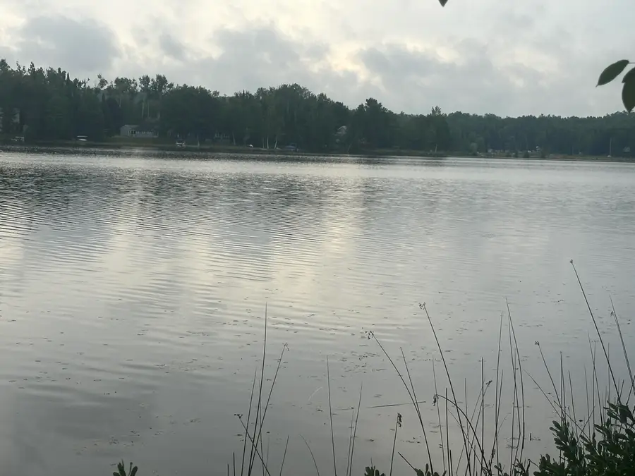 15595 Lakeway Drive, Wolverine, MI 49799 - #3