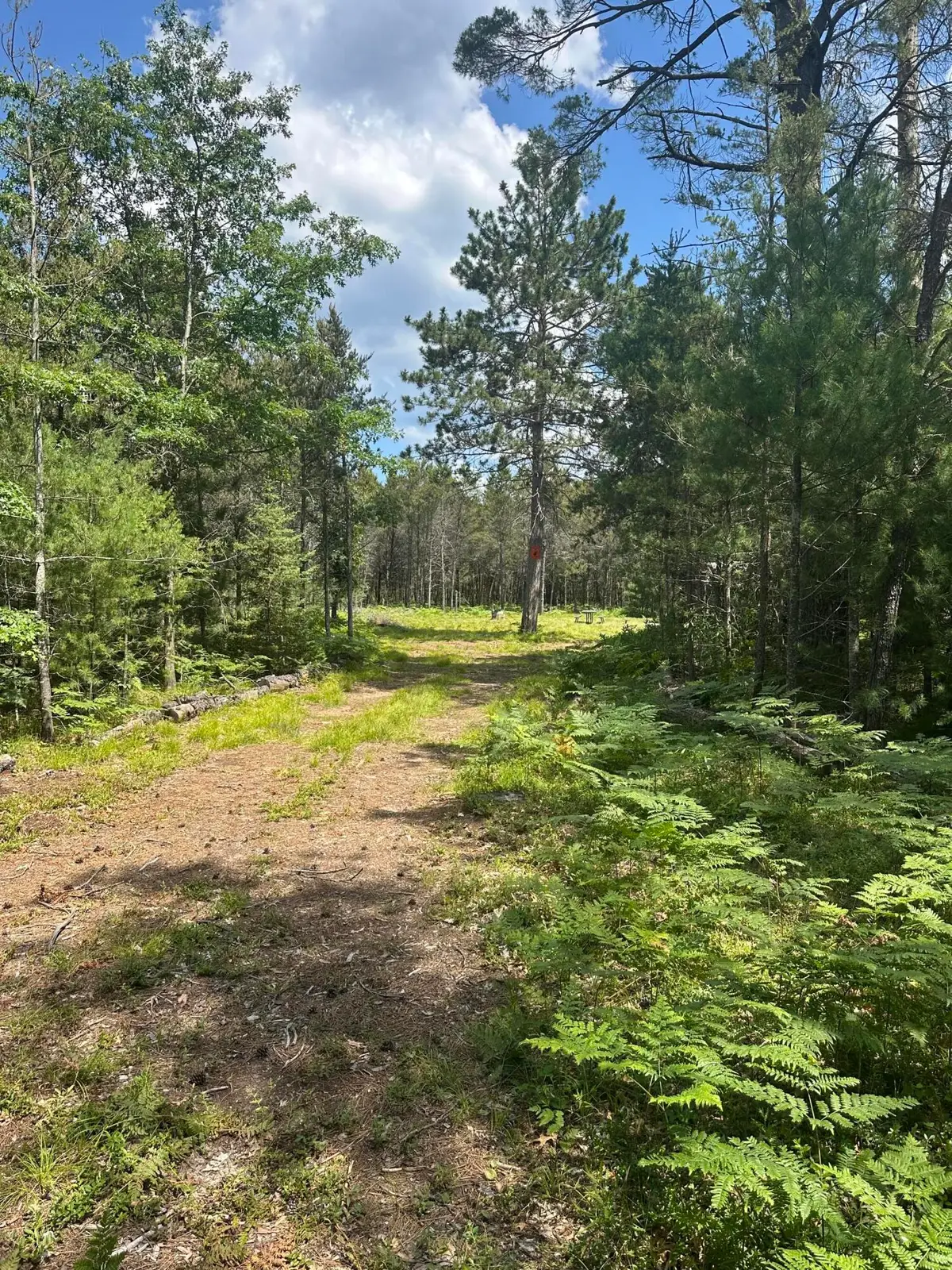 V/L 4.2AC N Spite Avenue, Grayling, MI 49738 - #1