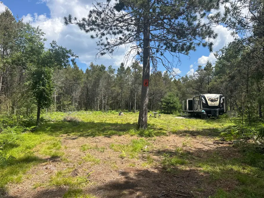 V/L 4.2AC N Spite Avenue, Grayling, MI 49738 - #3