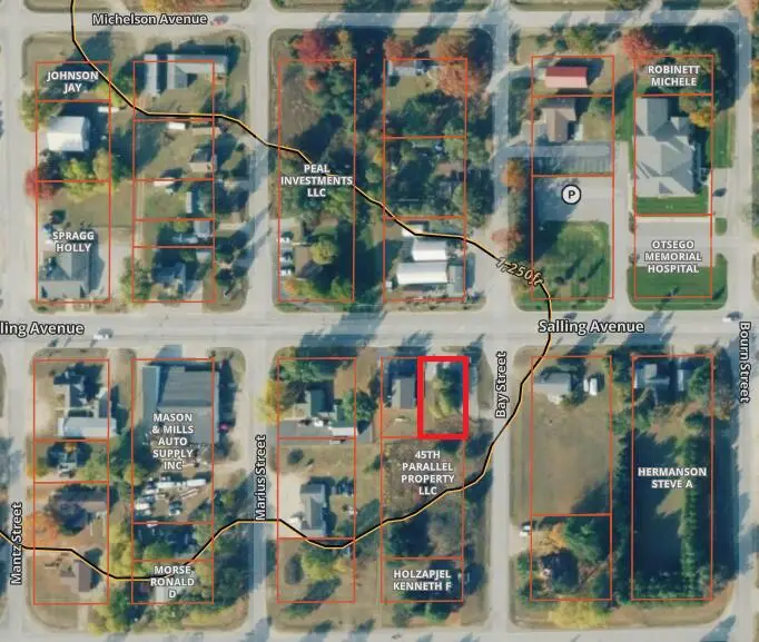 4631 Salling Avenue, Lewiston, MI 49756 - #2