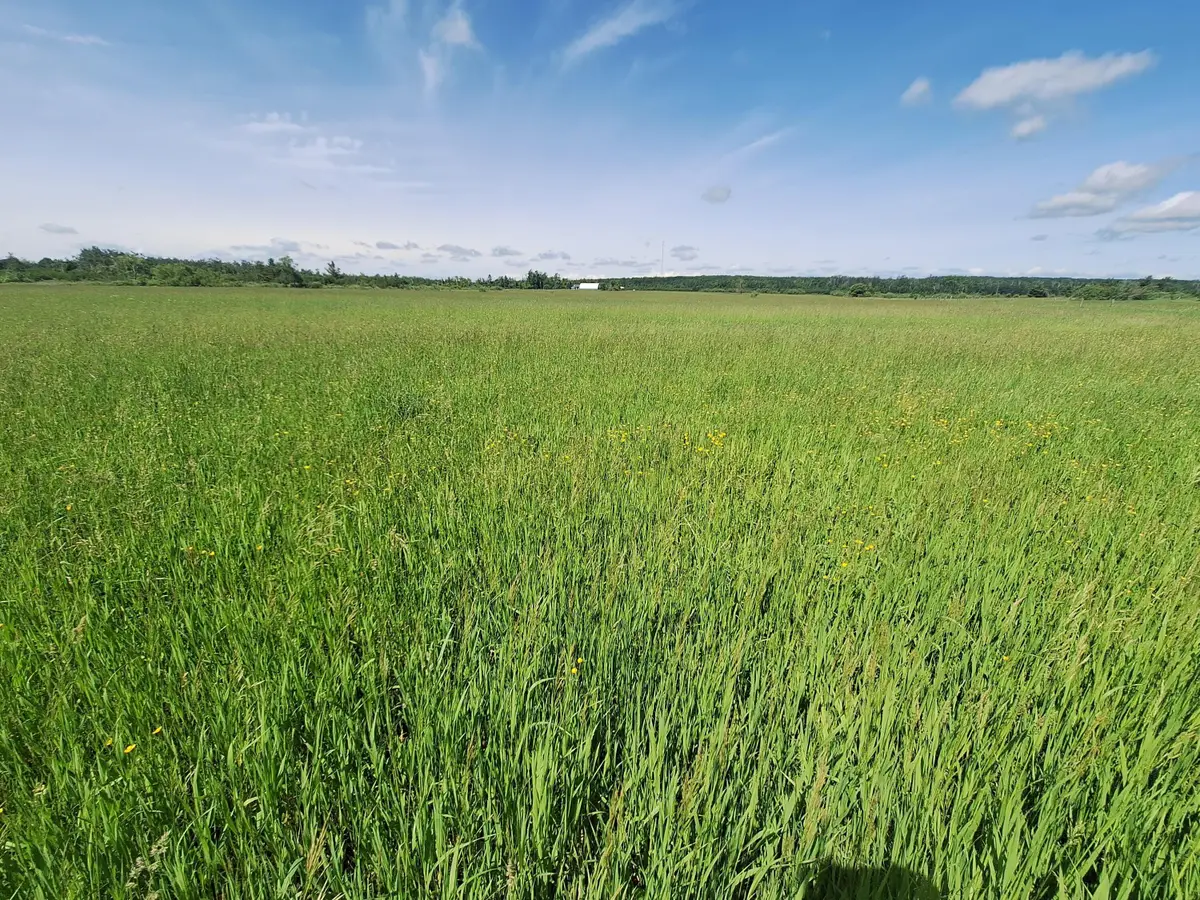 1035 N Poor Farm, Harrisville, MI 48740 - #1