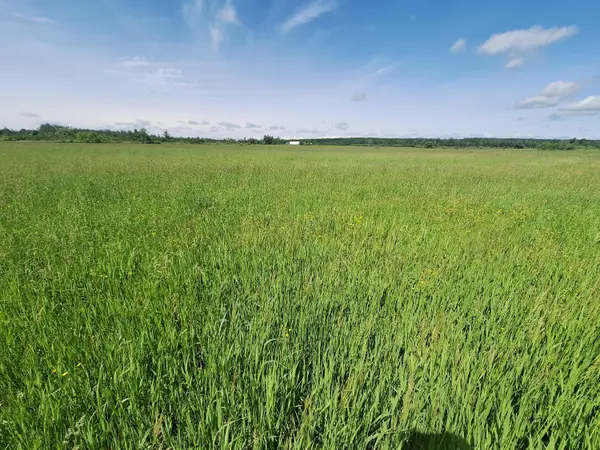 1035 N Poor Farm, Harrisville, MI 48740