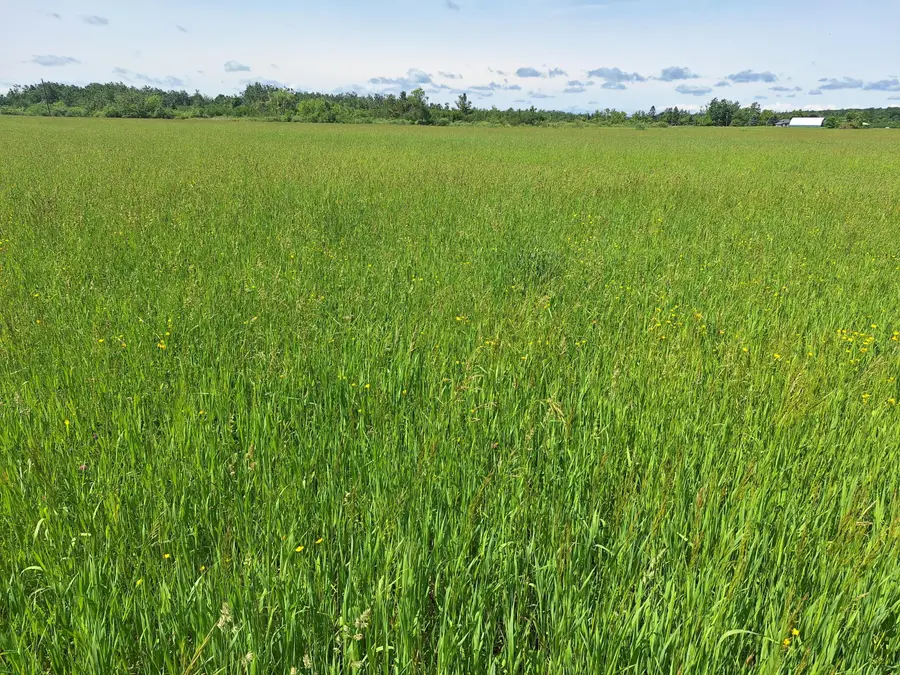 1035 N Poor Farm, Harrisville, MI 48740 - #3