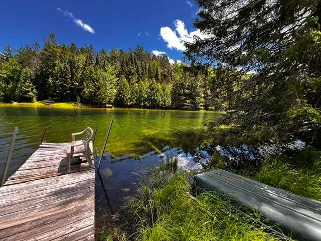 14703 E Shoreline Drive, Wolverine, MI 49799 - #3