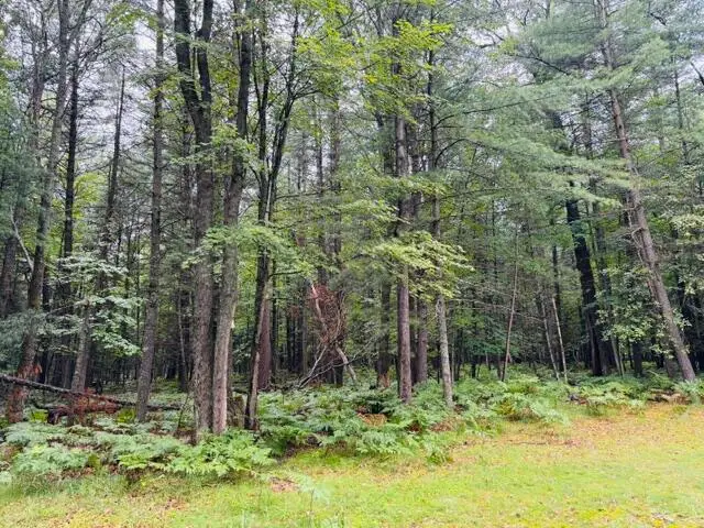 314 Acre Court, Roscommon, MI 48653 - #3