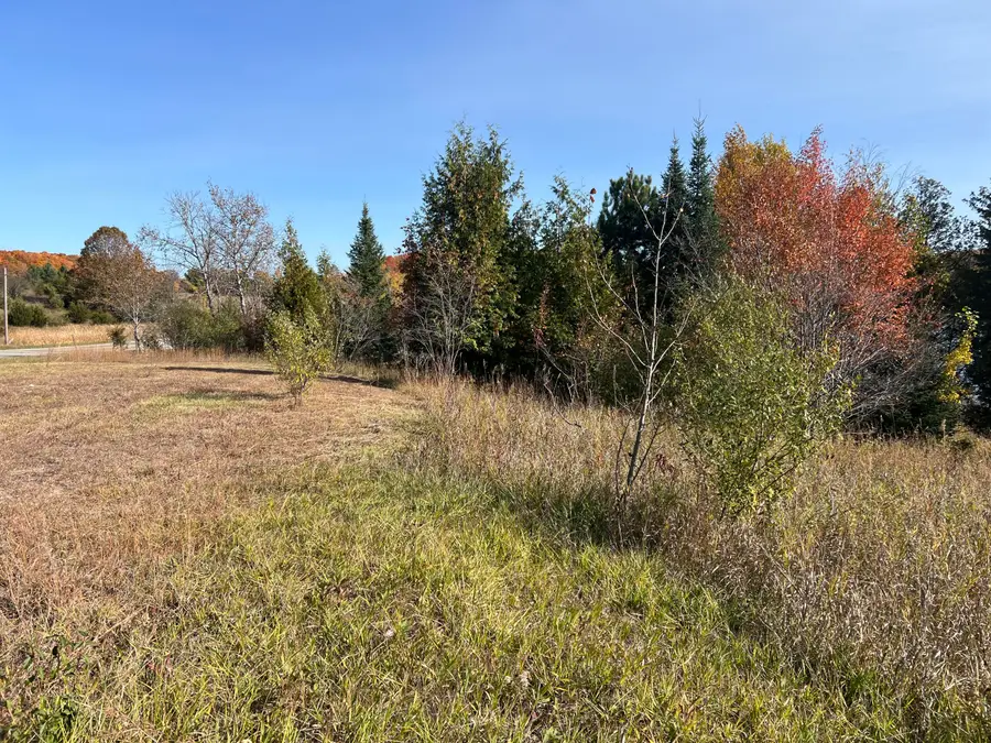 Lot 34 M-32, Atlanta, MI 49709 - #2