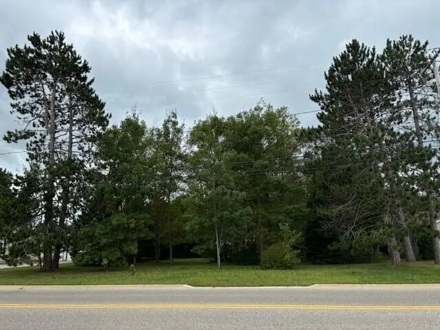 917 N Ohio Avenue, Gaylord, MI 49735 - #3