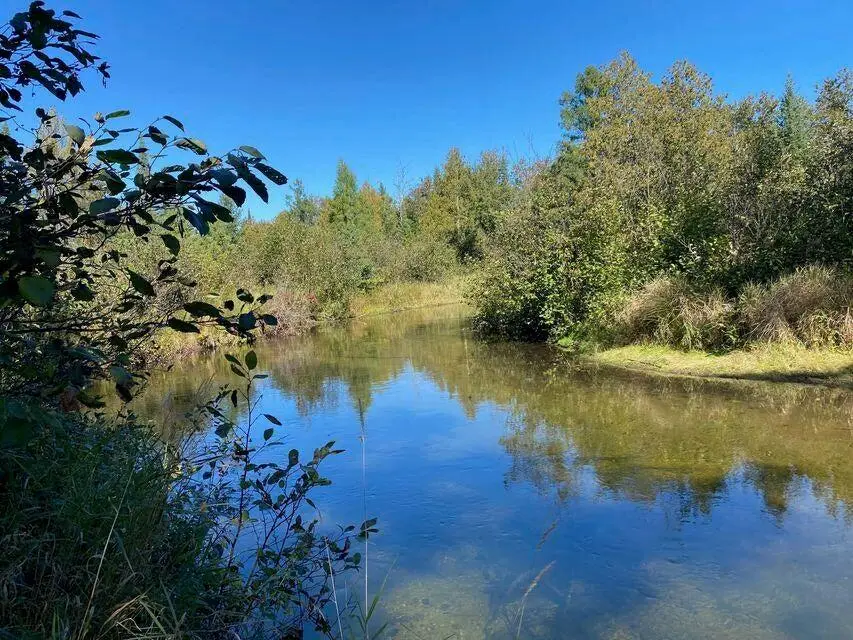 Lot 6 East Airport, Atlanta, MI 49709 - #1