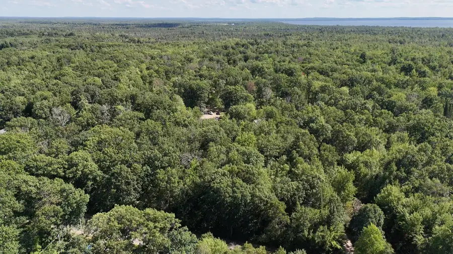 V/L 20 AC Lansing Road, Roscommon, MI 48653 - #2