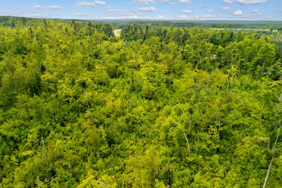 Parcel 9 M-32, Hillman, MI 49746 - #3