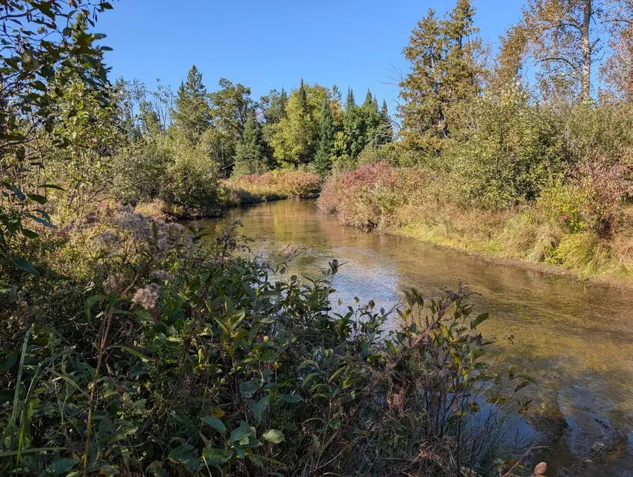 Lot 5 E Airport Drive, Atlanta, MI 49709 - #3