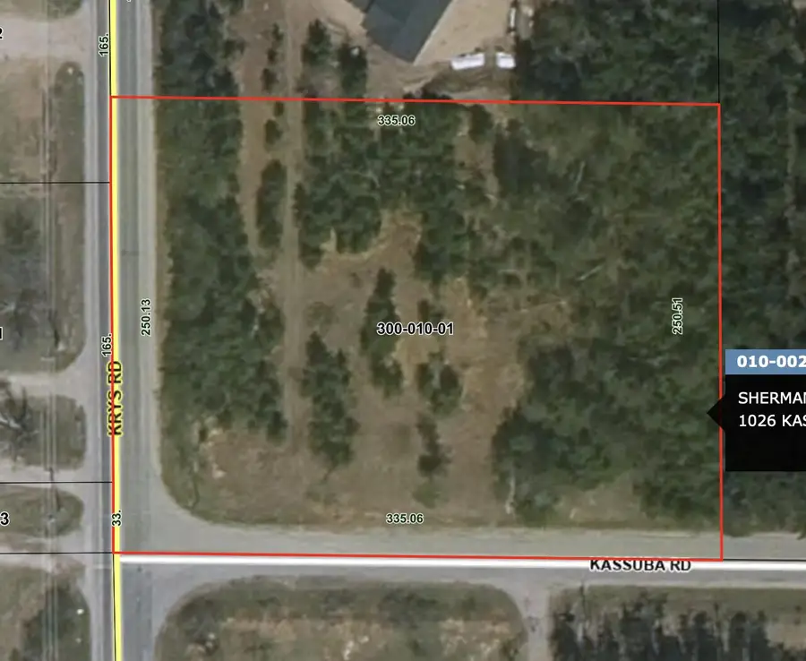 1026 Kassuba Road, Gaylord, MI 49735 - #3