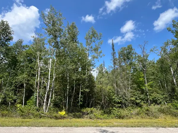 Lot 132 Wilderness Drive, Presque Isle, MI 49777