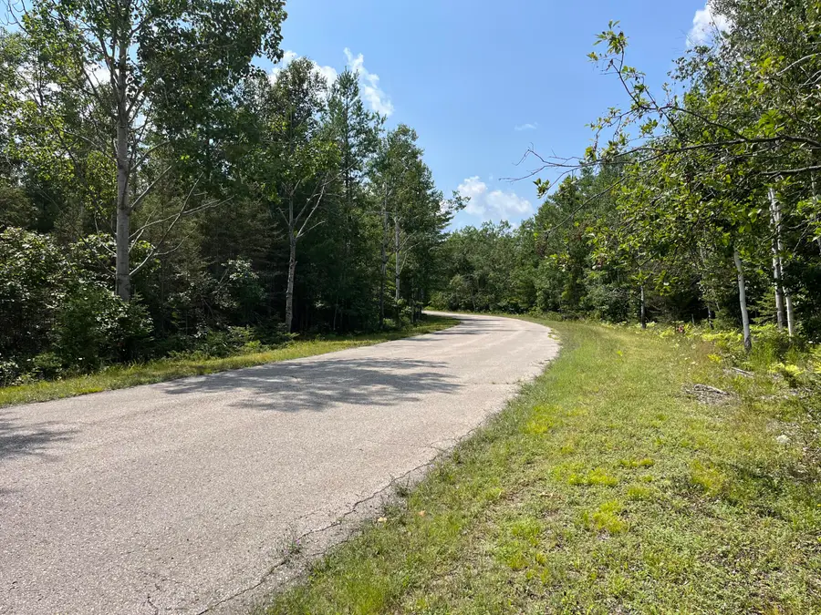 Lot 132 Wilderness Drive, Presque Isle, MI 49777 - #3