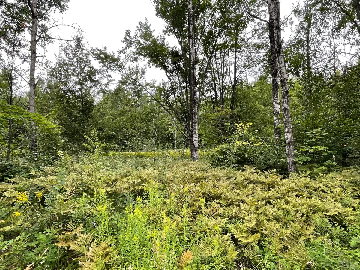 LOT 95 &96 Snowridge Drive, Elmira, MI 49730 - #1