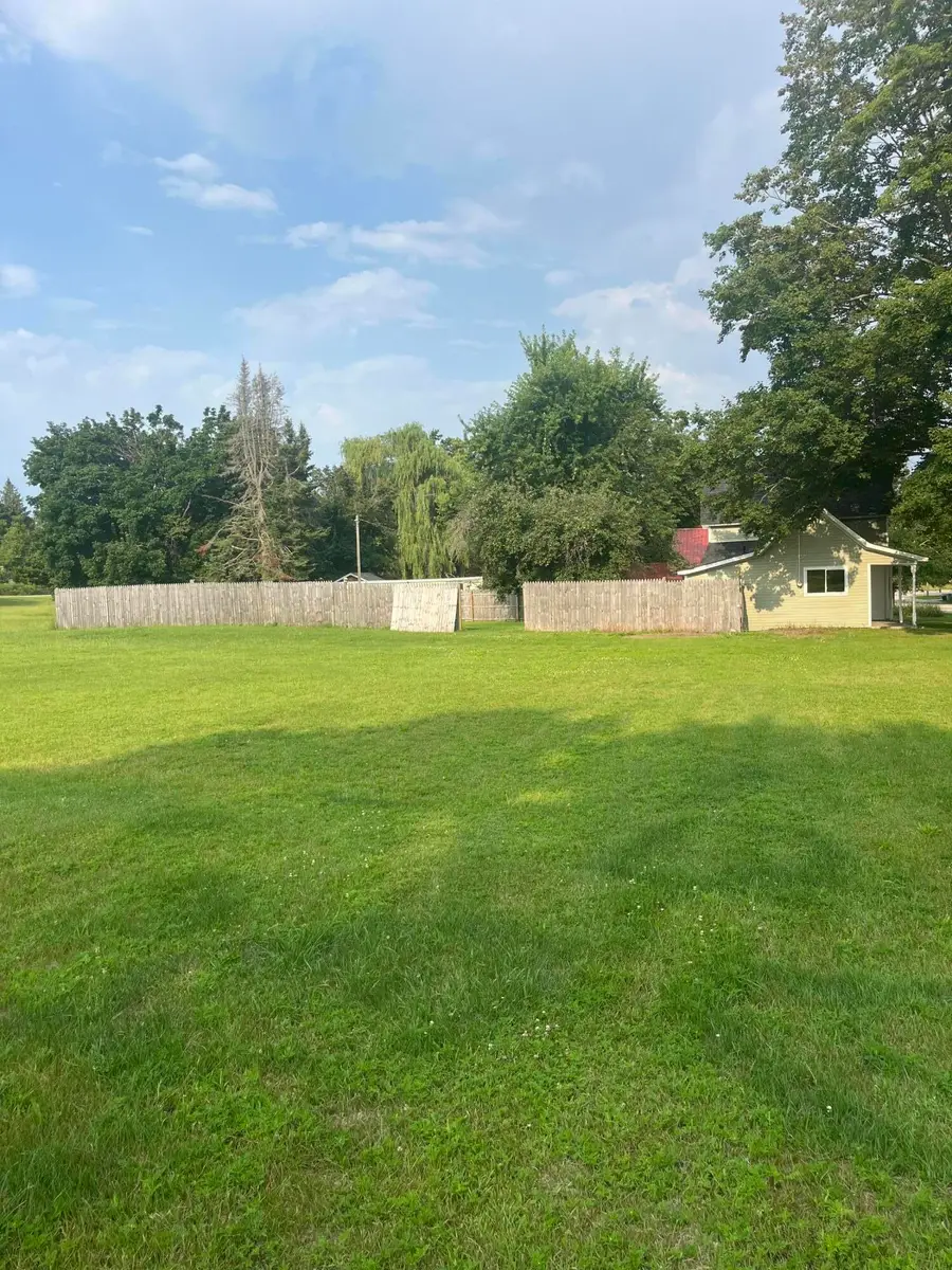 20919 Superior Street, Onaway, MI 49765 - #3