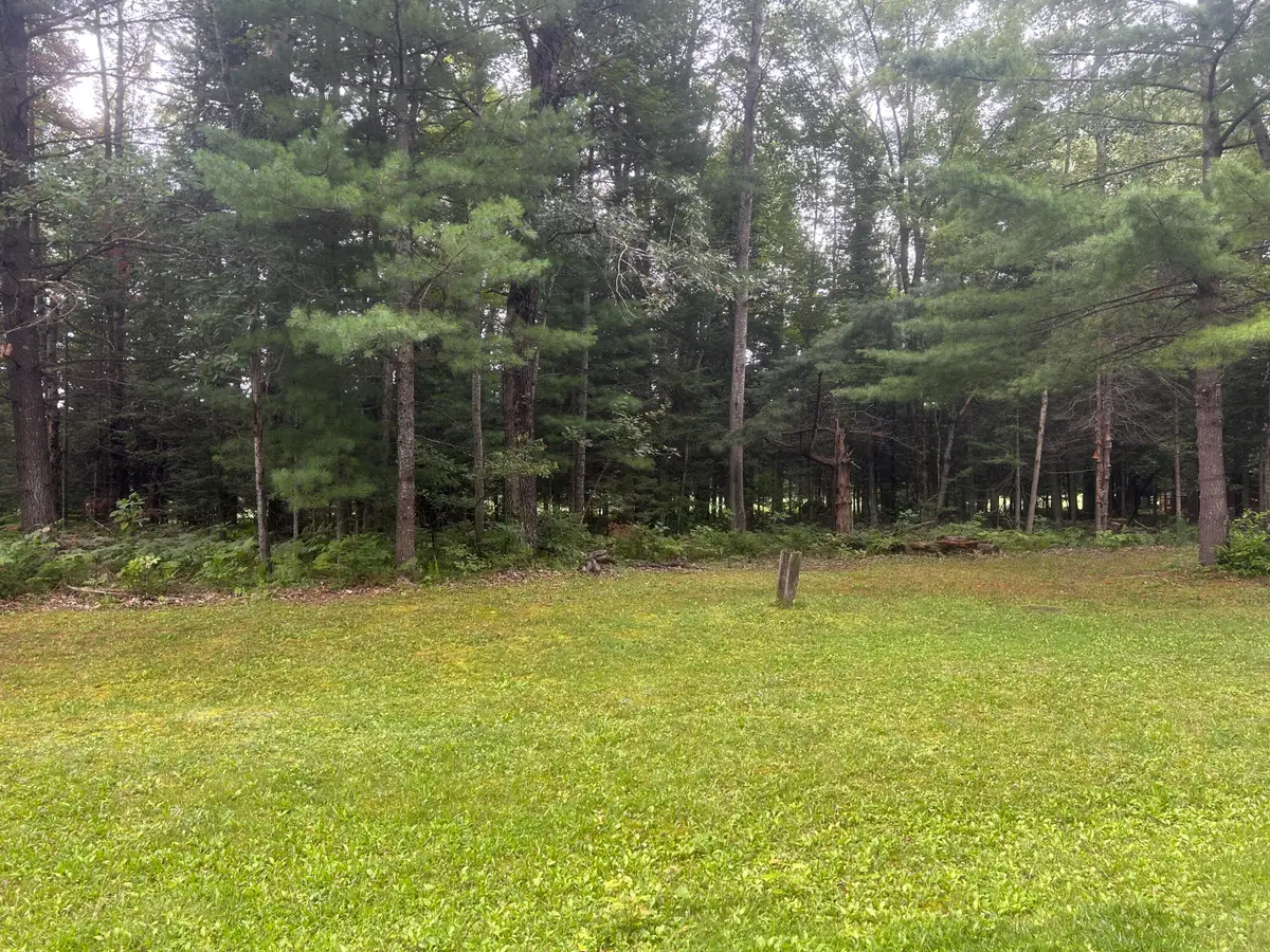 20935 East Riverside Drive, Hillman, MI 49746 - #1
