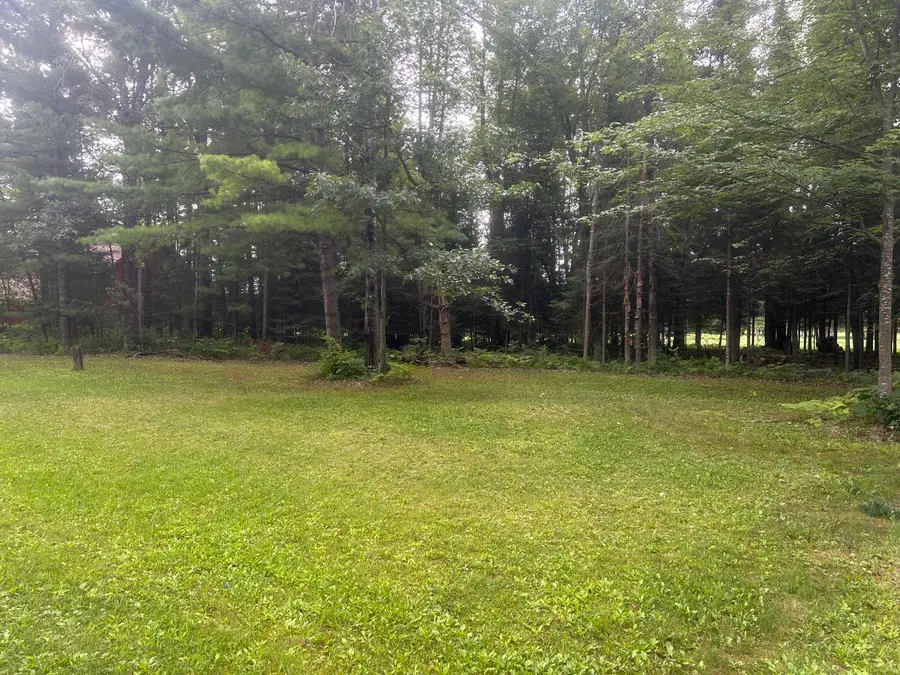 20935 East Riverside Drive, Hillman, MI 49746 - #3