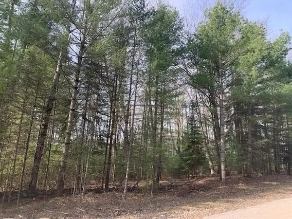 119-120 Ponderosa Drive, Lachine, MI 49753