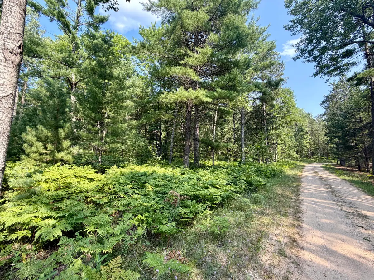 6 Acres Nature Ridge Trail, Vanderbilt, MI 49795 - #1