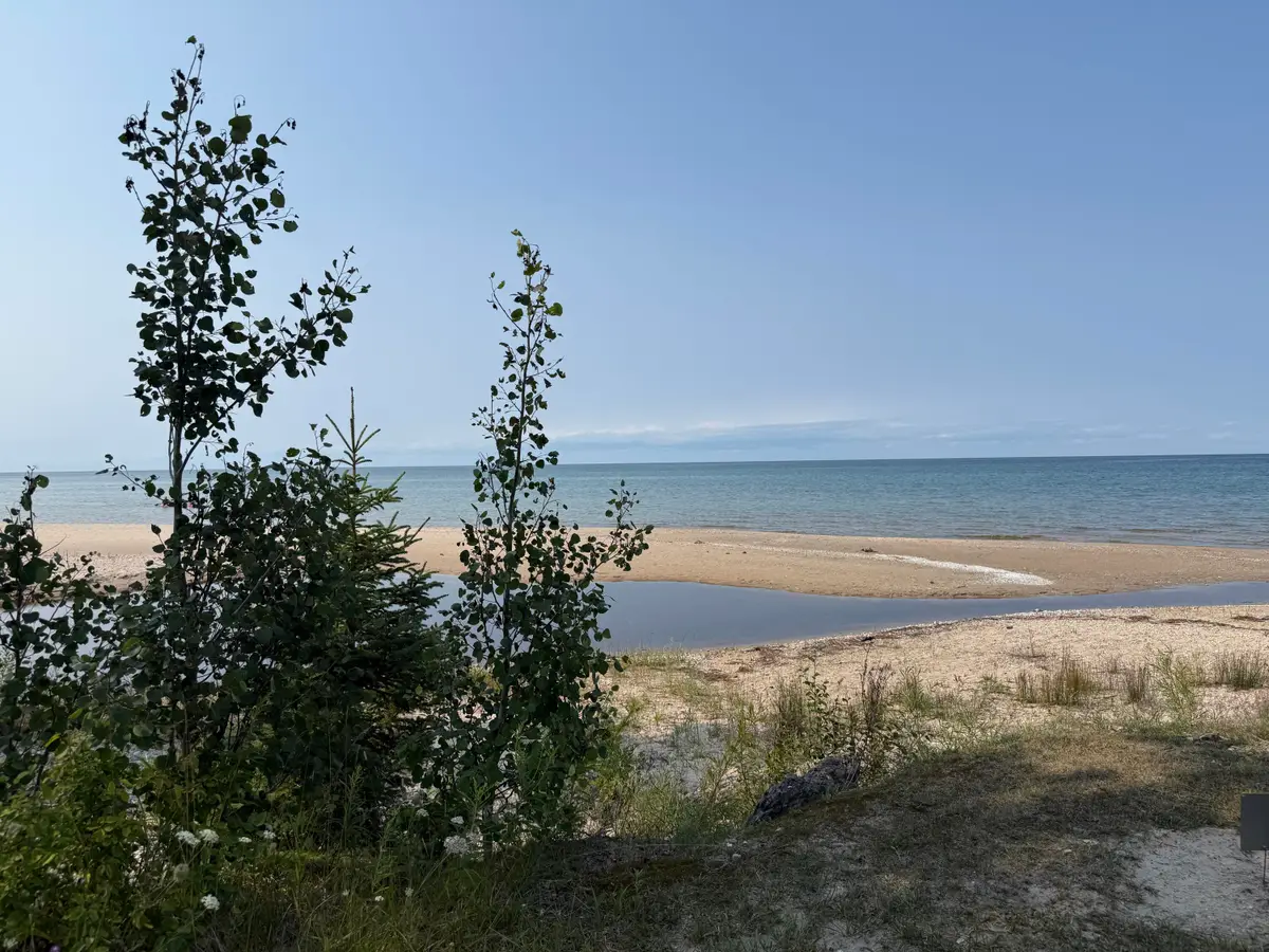 Manitou Beach Road, Rogers City, MI 49779 - #1