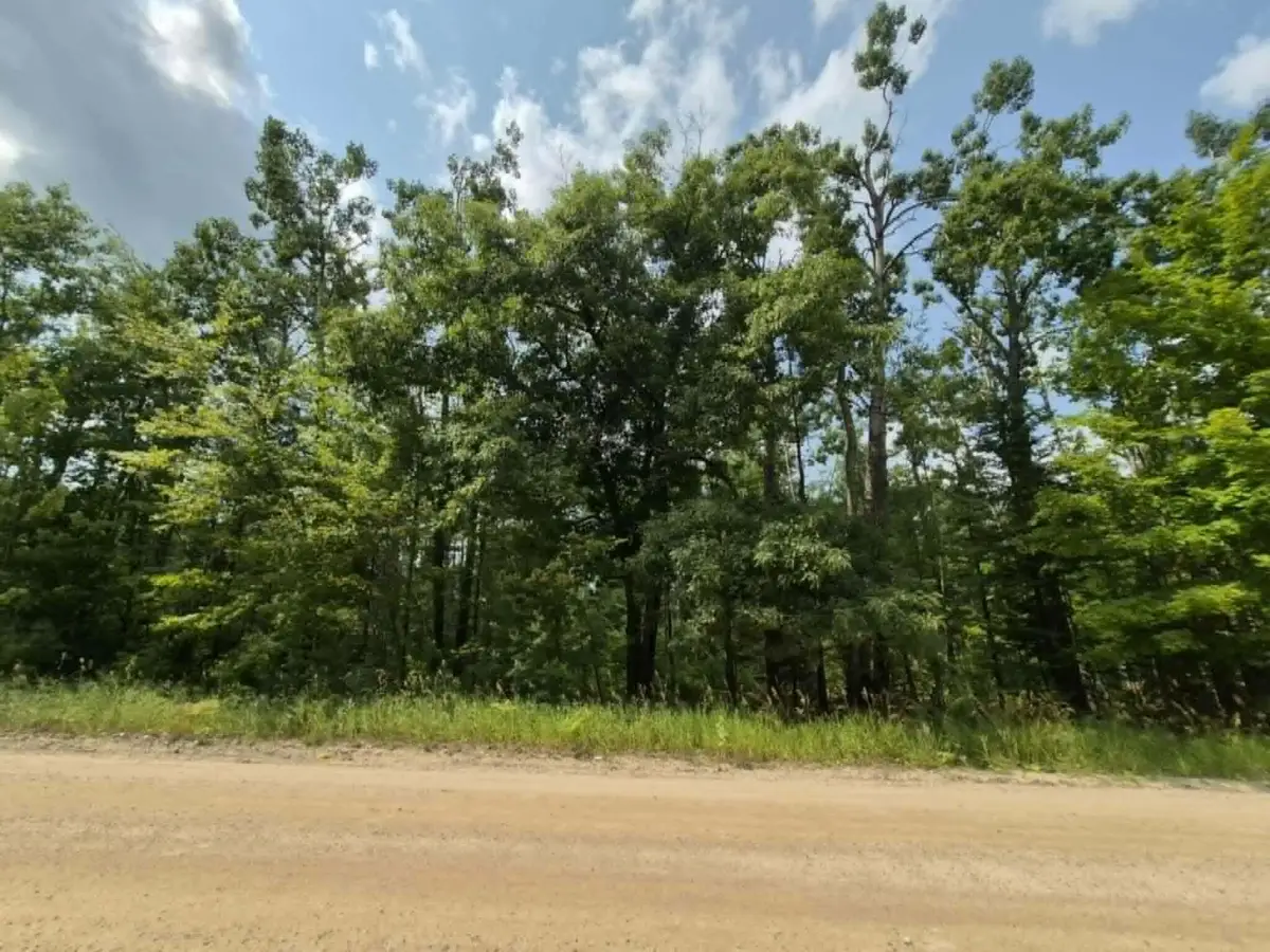 16370 Timberline Drive, Wolverine, MI 49799 - #1