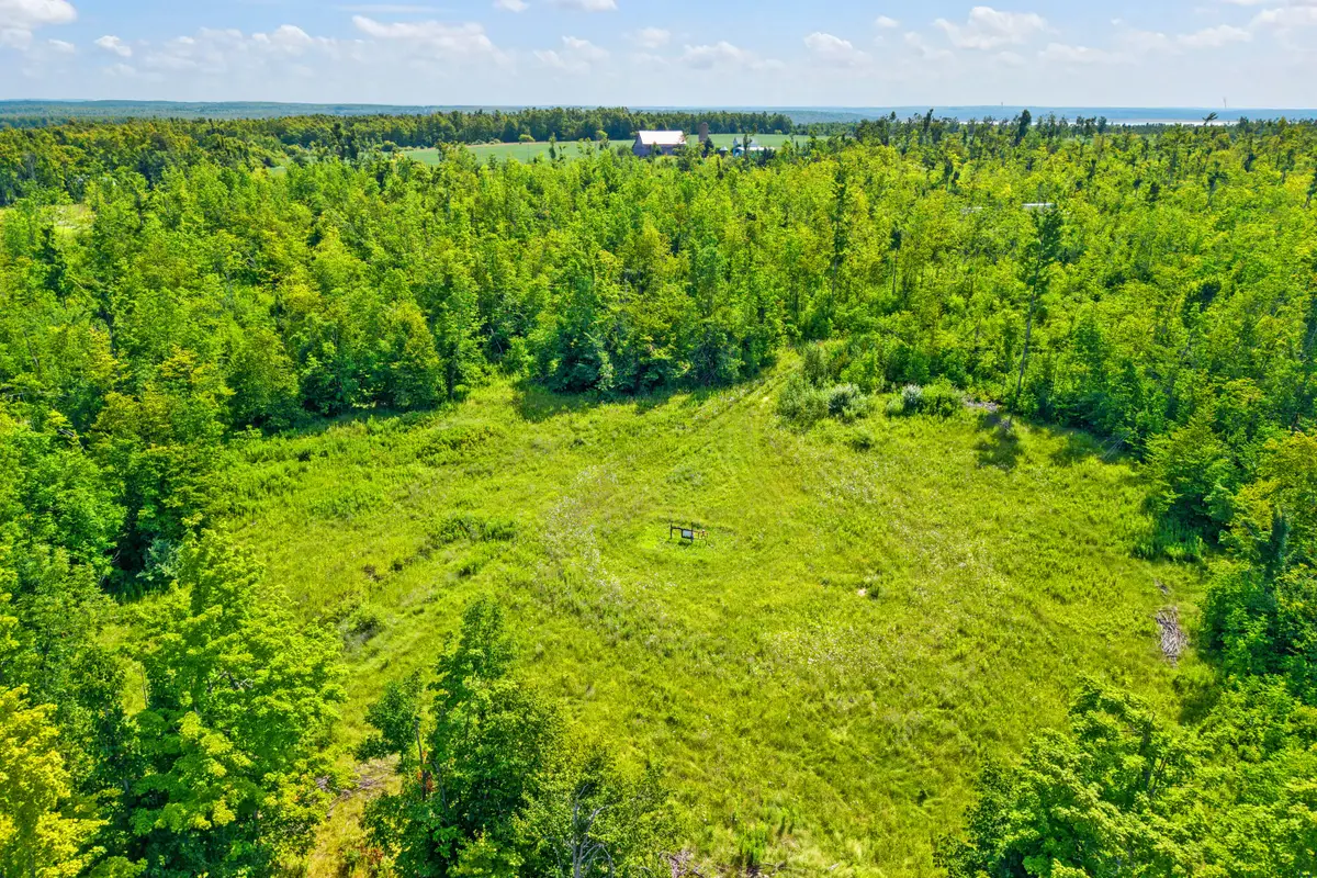 V/L 10 AC Farrier Road, Hillman, MI 49746 - #1